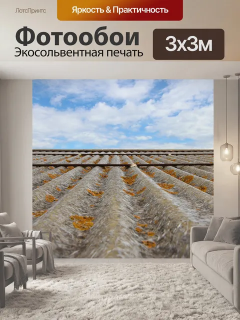 Фотообои Лишайники