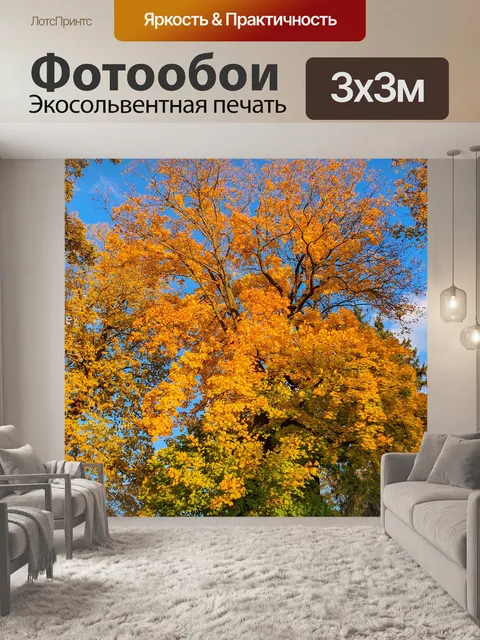 Фотообои Осеннее дерево в парке