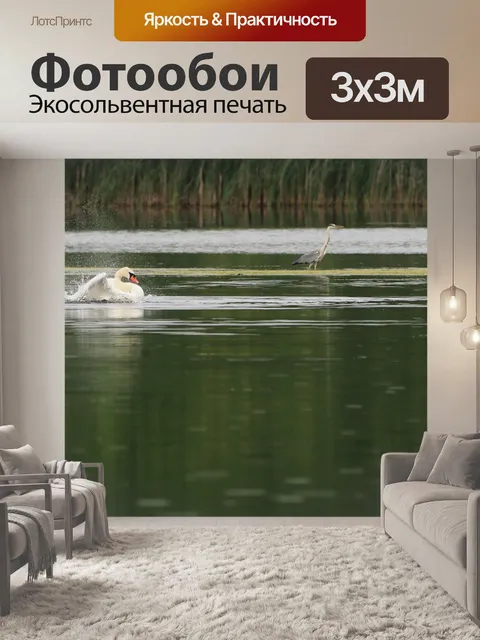 Фотообои Лебедь