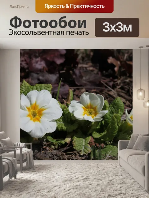 Фотообои Первоцвет