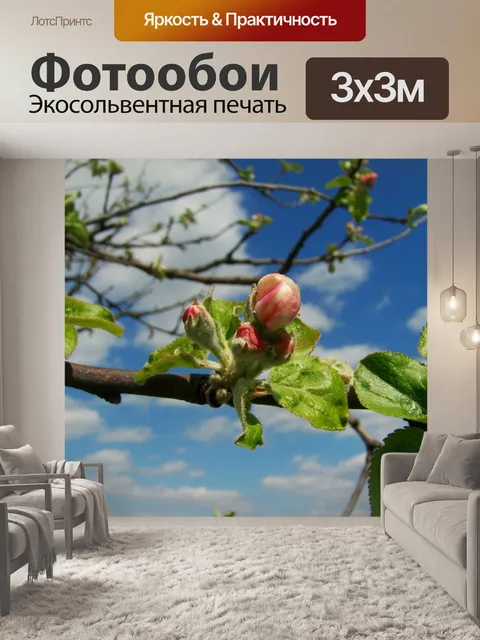 Фотообои Альмафа
