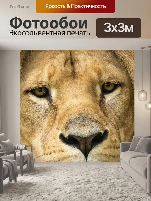 Фотообои Лев