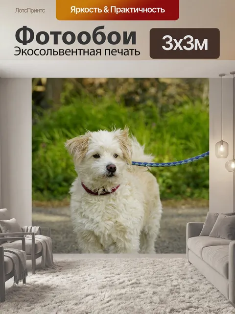 Фотообои Небольшой