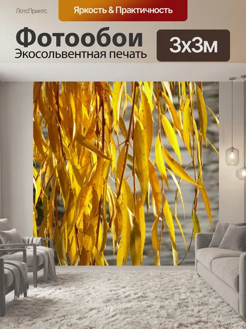 Фотообои Листья ивы