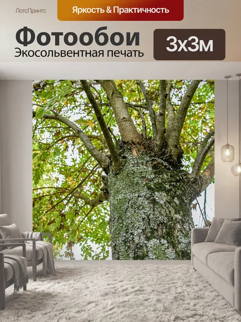 Фотообои Природа