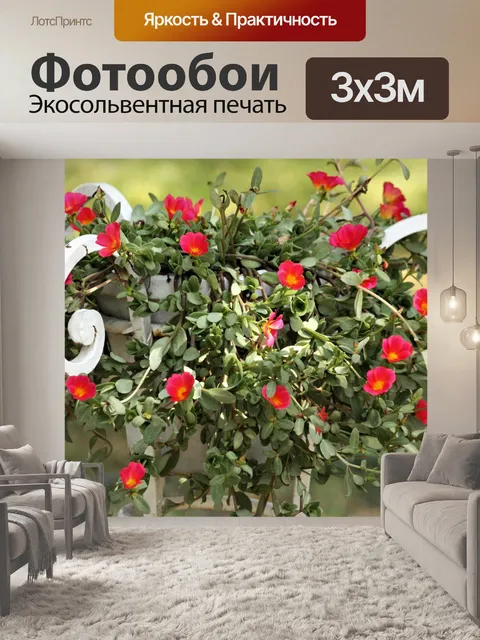 Фотообои Цветы красного портулака на стенде расте