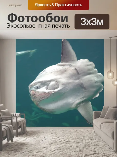 Фотообои Луна-рыба