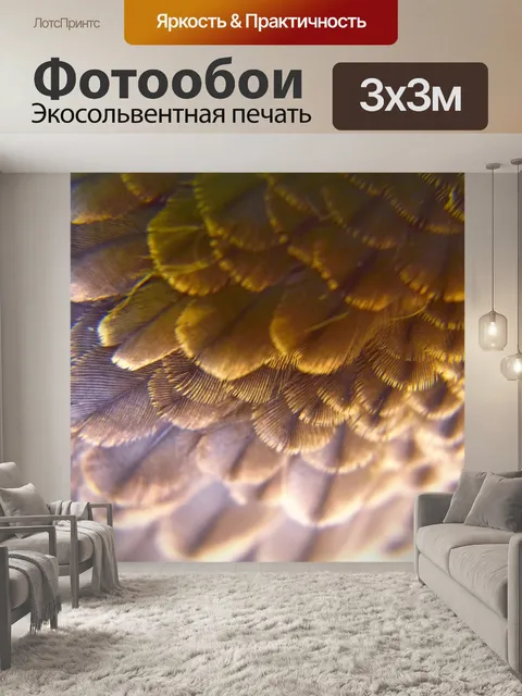 Фотообои Птичьи перья 11