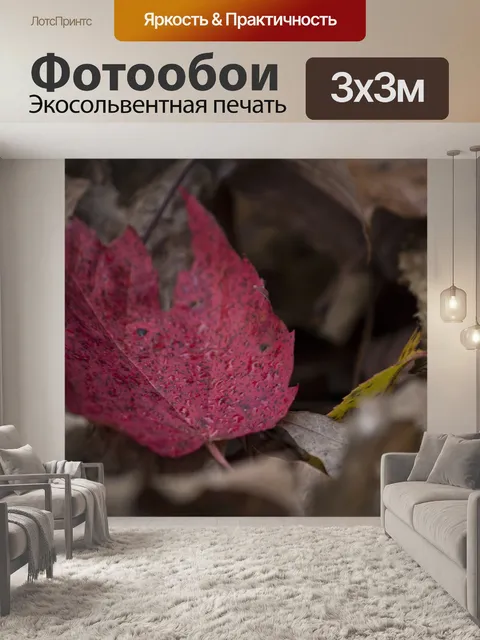 Фотообои Лист