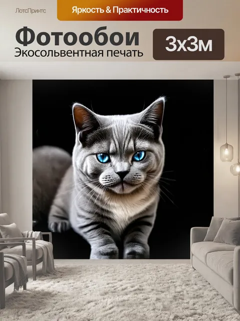 Фотообои фотография британской короткошерстной кошки с ярко-голубыми глазами