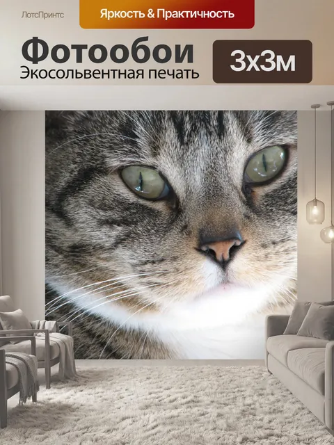 Фотообои Кошки глаза крупным планом