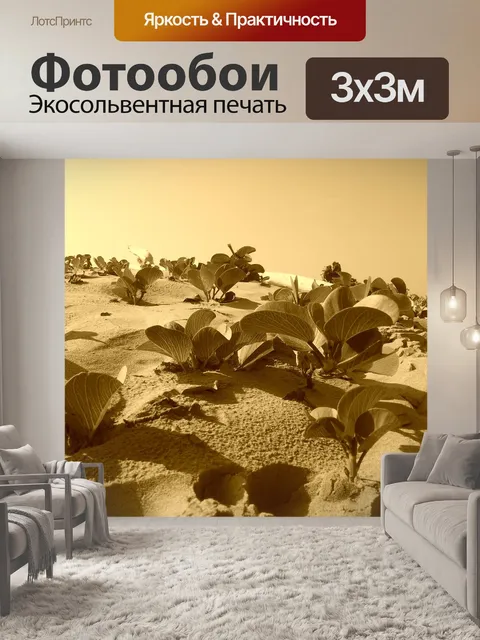 Фотообои Море