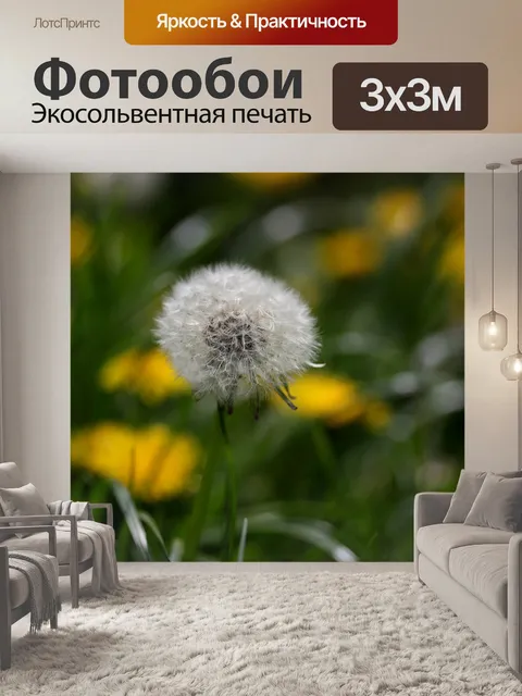 Фотообои Одуванчик