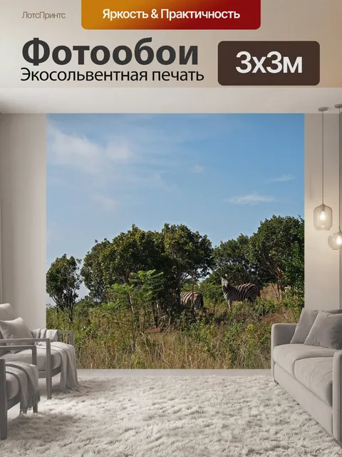 Фотообои зебра бурчелла в пейзаже