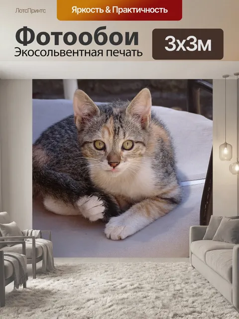 Фотообои Щенок