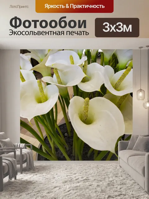 Фотообои Цветы белой лилии Кали