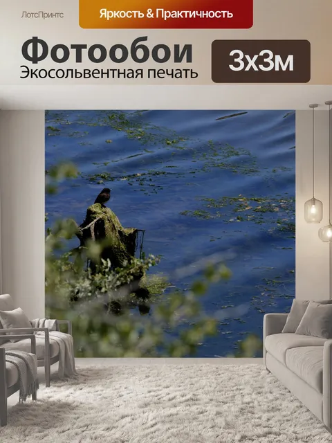 Фотообои Птица, сидящая у озера
