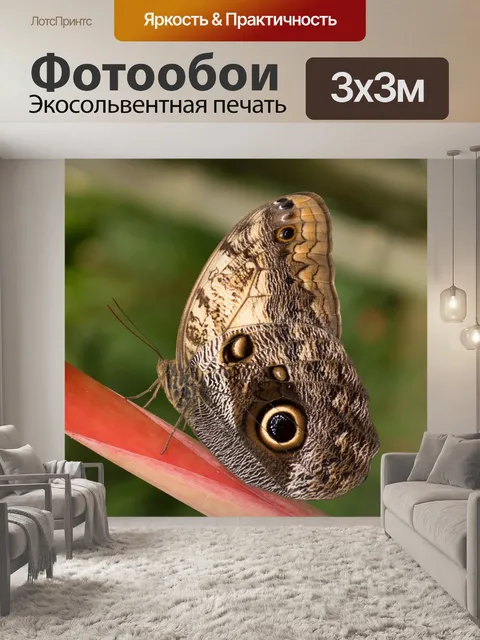 Фотообои Сад бабочек бенальмадена