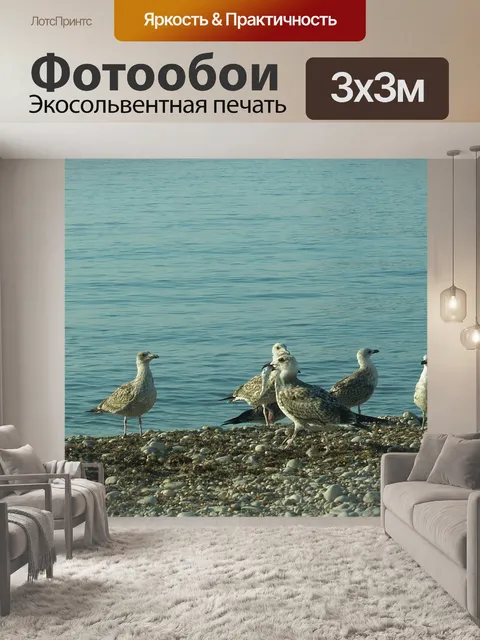 Фотообои Чайки