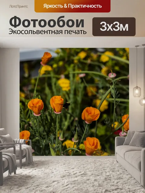 Фотообои Bumble Bee на оранжевых цветах
