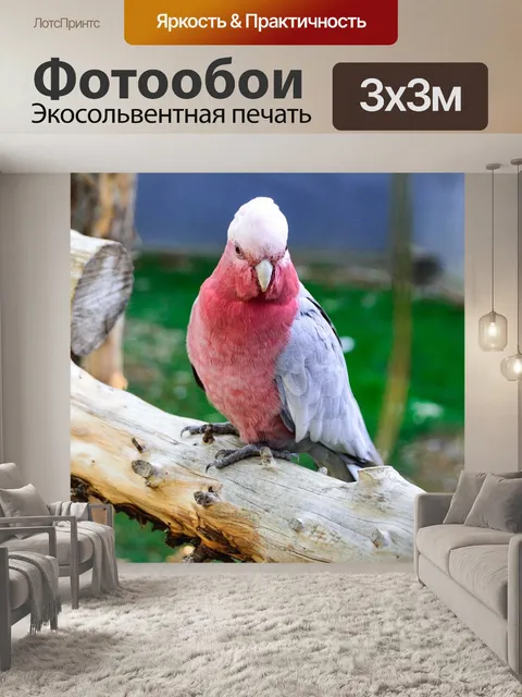 Фотообои Голубки