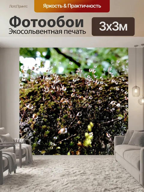 Фотообои Праздничный день