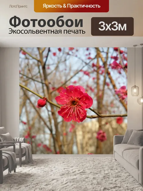 Фотообои Цветение сливы