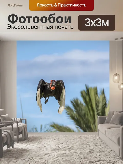 Фотообои Птица
