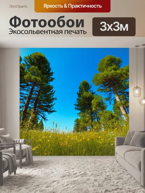 Фотообои прованс, на которых изображены высокие сосны на фоне голубого неба