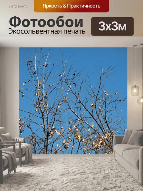 Фотообои сухие листья и круглые деревья