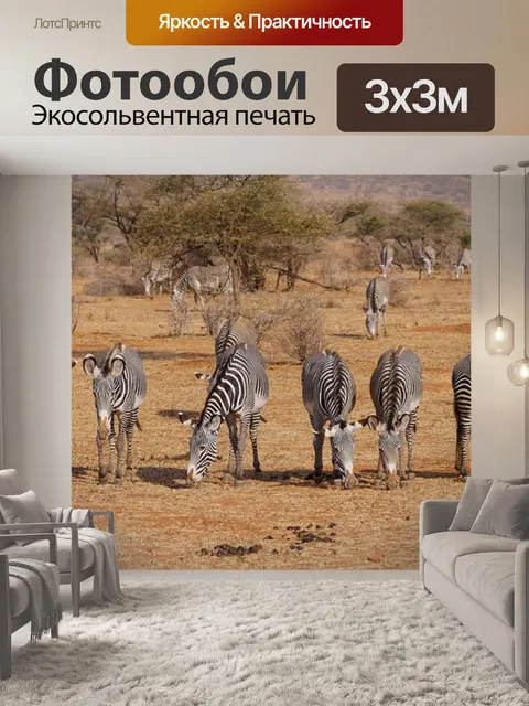 Фотообои Зебра