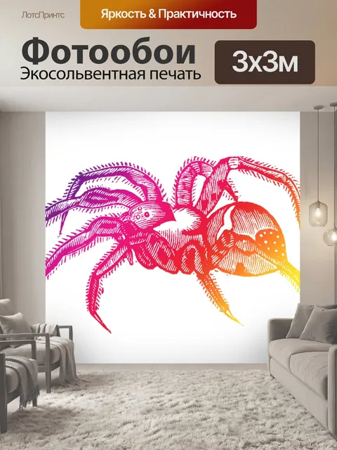 Фотообои Паук Клипарт Арт красочный