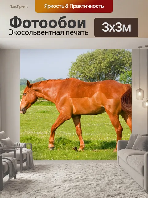 Фотообои Лошадь