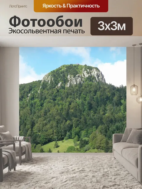 Фотообои Франция