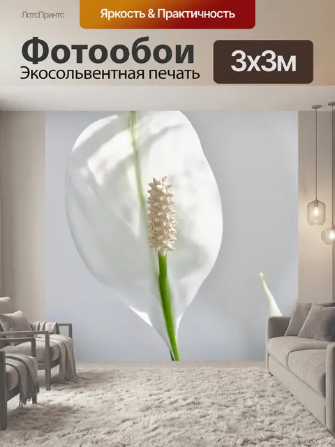 Фотообои Цветок
