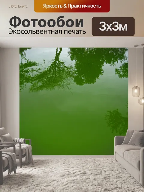 Фотообои отражение деревьев в зеленом бассейне