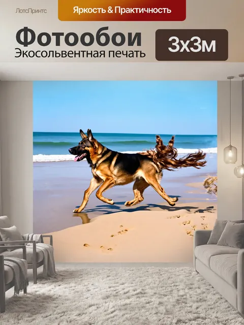 Фотообои немецкая овчарка, грациозно пробегающая по песчаному пляжу, её шерсть развевается на ветру, создавая…