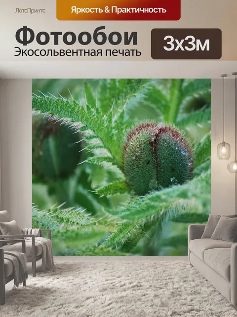 Фотообои Бутоны