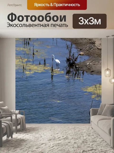 Фотообои Снежная цапля
