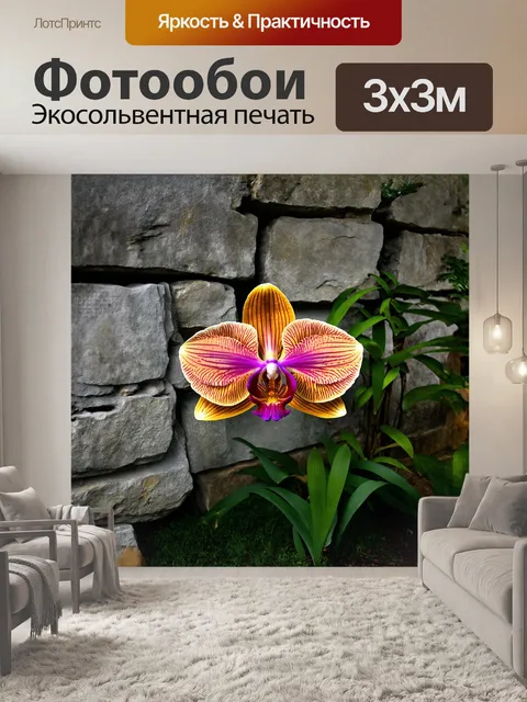 Фотообои на фоне старинной каменной стены