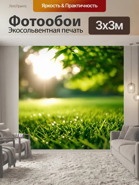 Фотообои рассвет на лужайке с каплями росы, солнечный свет пробивается сквозь листья деревьев