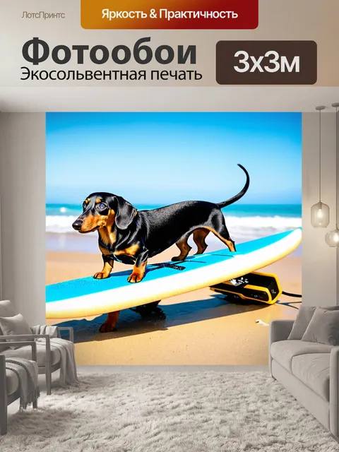 Фотообои таксы, плывущие на досках для серфинга на пляже