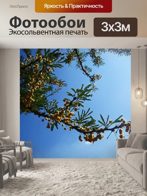 Фотообои цветущее сладкое колючее дерево
