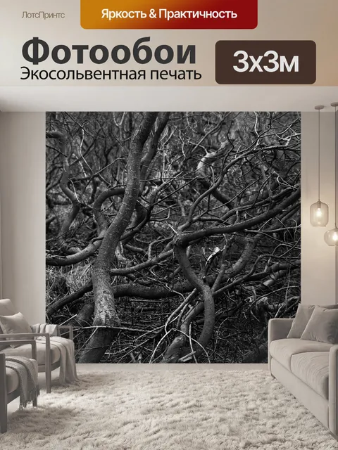 Фотообои Дерево