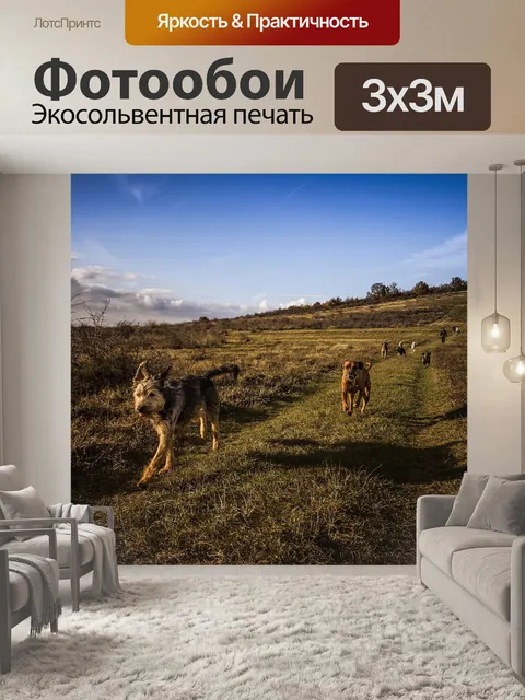 Фотообои Синий