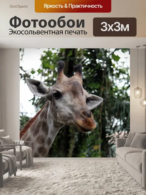 Фотообои Голова жирафа и язык