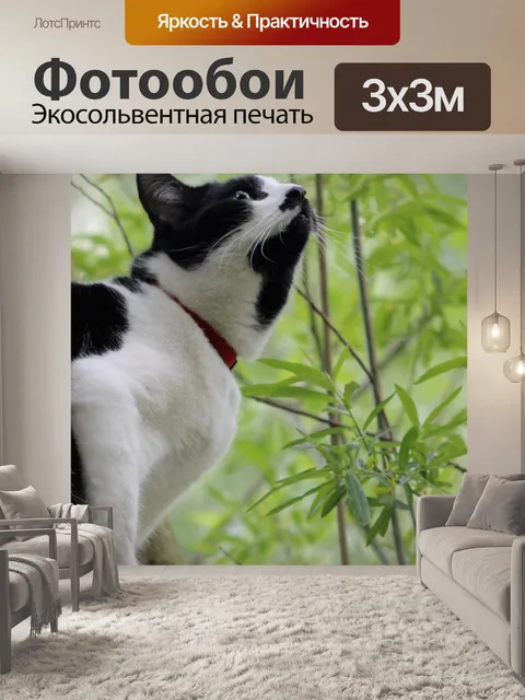 Фотообои Животное
