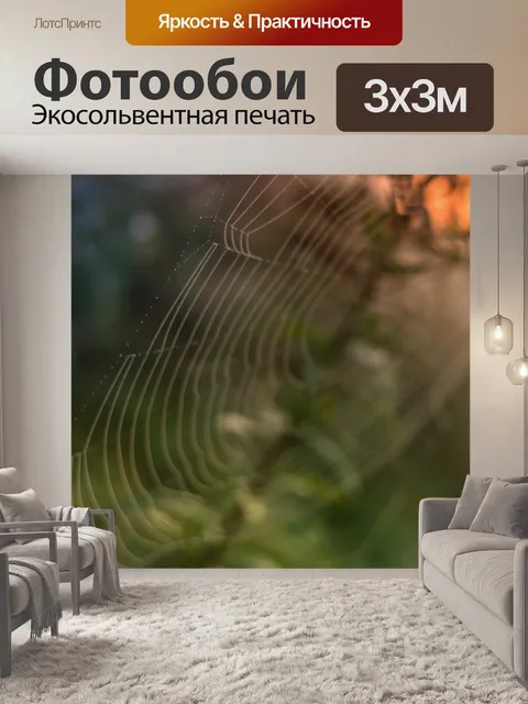 Фотообои Паутина