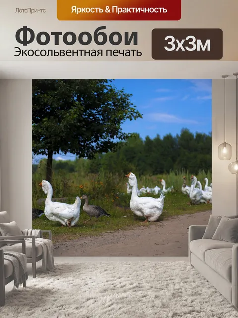 Фотообои Природа
