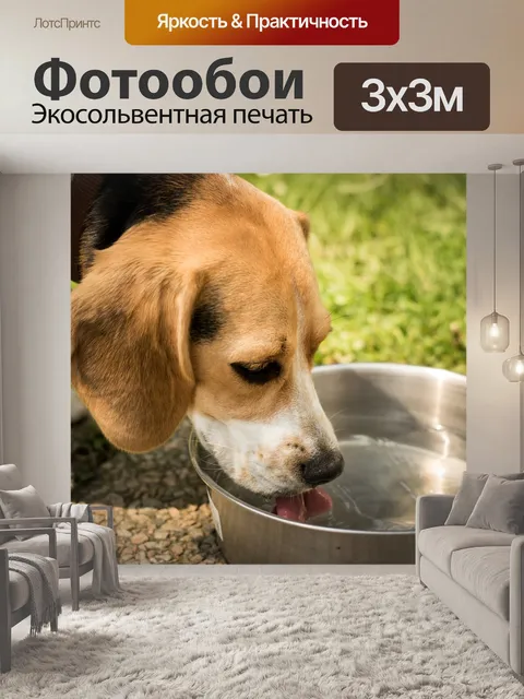 Фотообои Собака